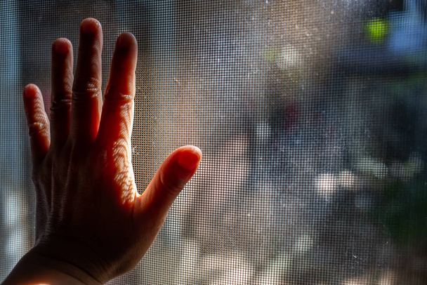 Naisen vasen käsi koskettaa pölyä Likainen hyttyslanka näyttö ikkuna, Light & Shadow ammuttu, Siluetti, lähikuva laukaus
 - Valokuva, kuva
