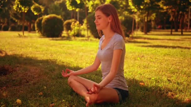 meditation in sunny garden - Footage, Video
