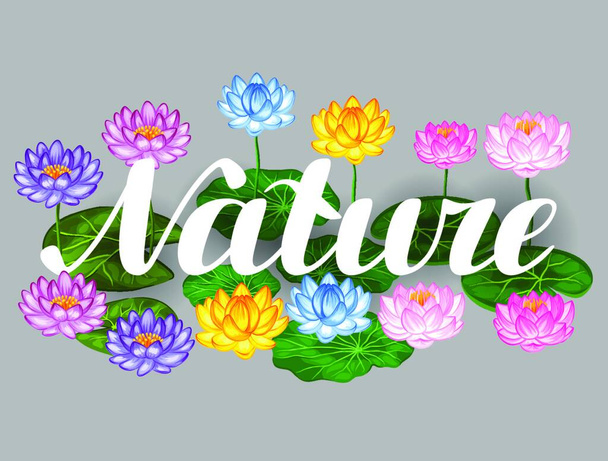 Natural background with lotus flowers and leaves. Image for design on t-shirts, prints, decorations brochures, websites. - Vektor, obrázek