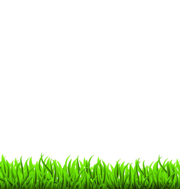Illustration spring background with green grass, space for your text - vector - Vektor, kép