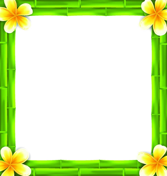 Illustration Natural Frame Made Bamboo and Frangipani Flowers, Copy Space for Your Text - Vector - Vetor, Imagem