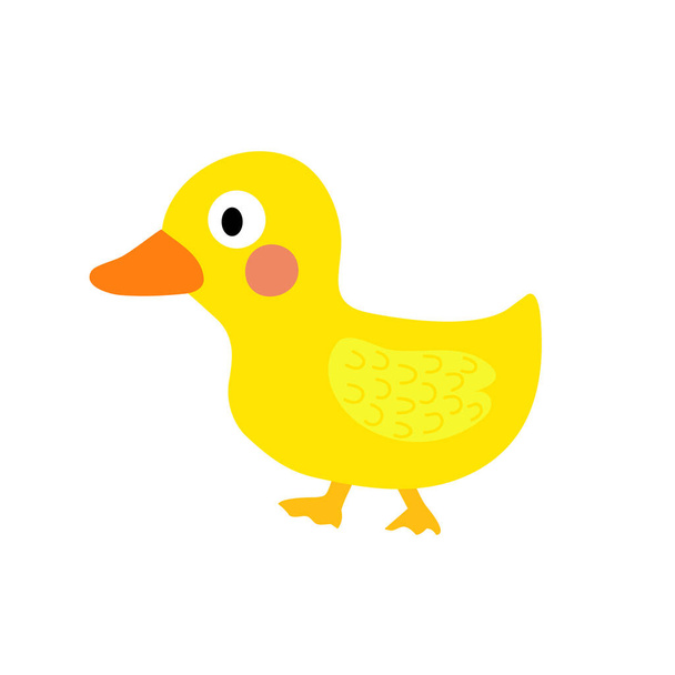 Duck animal cartoon character vector illustration. - Vector, imagen