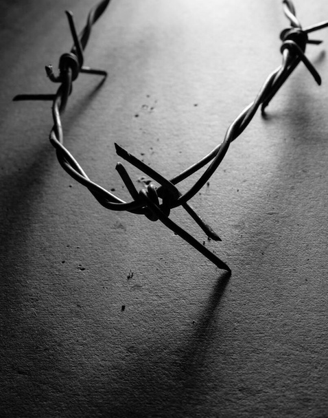 Close up of barbed wire - Photo, Image