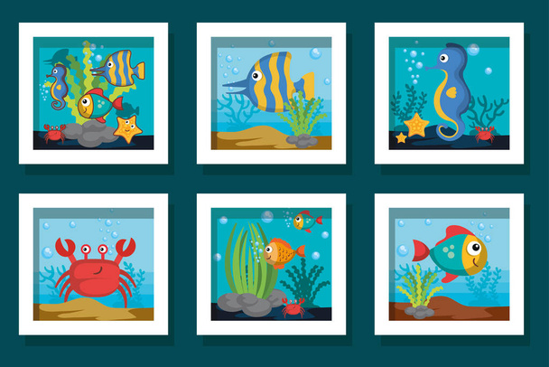 paquetes de diseños de lindos iconos de la vida marina
 - Vector, imagen
