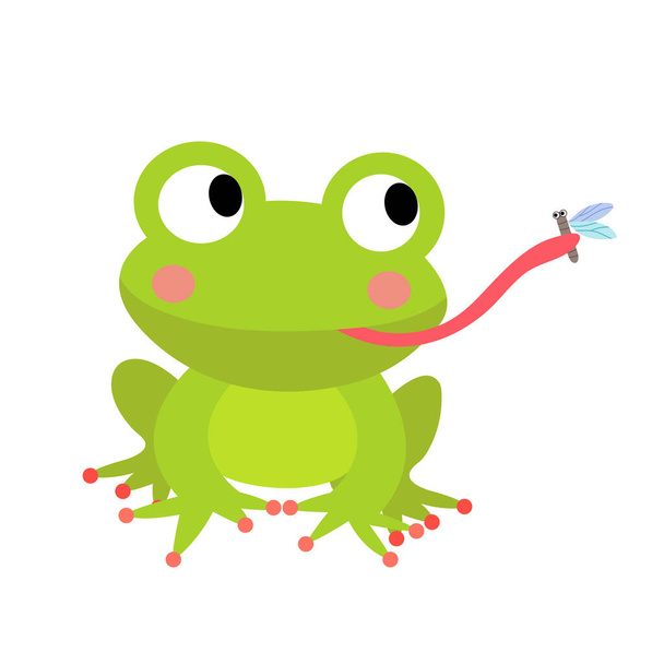 Frog eating fly animal cartoon character vector illustration. - Vektör, Görsel