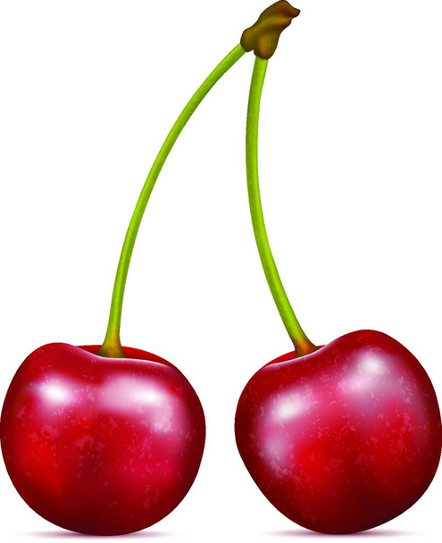 Two red cherry berries on a white background. - Vektor, obrázek