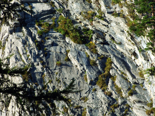 Скалы и камни на границе с Ратиконом альпийский горный массив или Ratikon Grenzmassiv (oder Raetikon), Mainfeld - Кантон Гризонов (Graubunden или Graubuenden), Швейцария
 - Фото, изображение