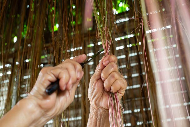 Ruka starší ženy řezáním nožem na Javanese Treebine nebo Grape Ivy, Selektivní zaostření, Zahradní koncept - Fotografie, Obrázek