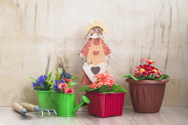 Conceito de jardinagem primavera. Várias flores em vasos de flores, waterin
 - Foto, Imagem