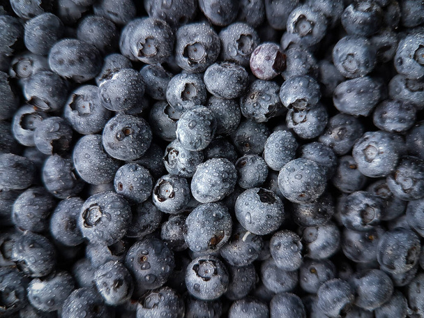 Summer Blueberries Closeup Background - Fotoğraf, Görsel