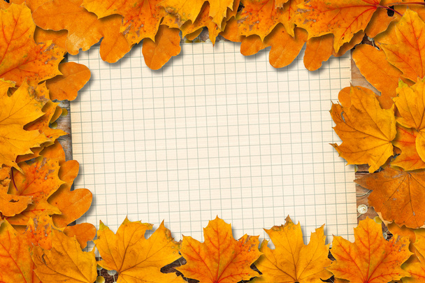 Bright fallen autumn leaves on the old paper background - Fotó, kép