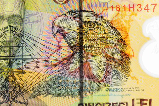 Pták na 50 rumunských leu (Ron) bankovkách. - Fotografie, Obrázek