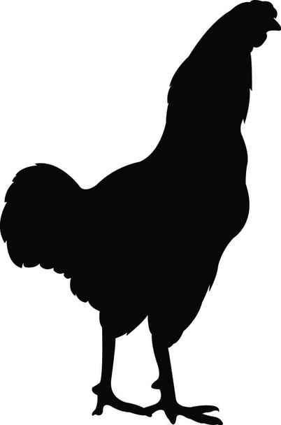 chickens silhouette vector  illustration - Vector, imagen