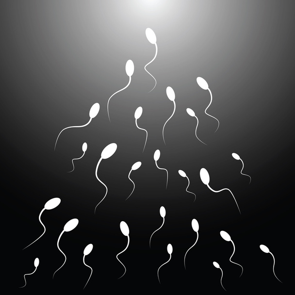 Ilustración vectorial de espermatozoides
 - Vector, Imagen
