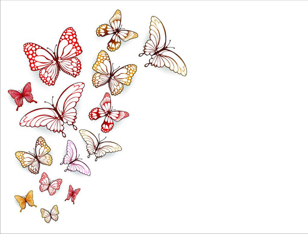 Collection of multi-colored butterflies on a white background.                                                                                                                                              - Vector, afbeelding