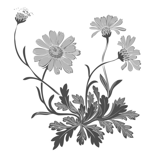 Hand drawn illustration of twig with flowers and leaves Baroque vector. Cornflowers. Colorful Vegetable ornament vertical on black background - Vector, Imagen