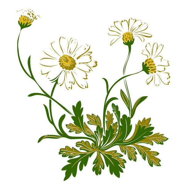 Ilustración dibujada a mano de ramita con flores y hojas vector barroco. Cornflowers. Colorido ornamento vegetal vertical sobre fondo negro
 - Vector, Imagen