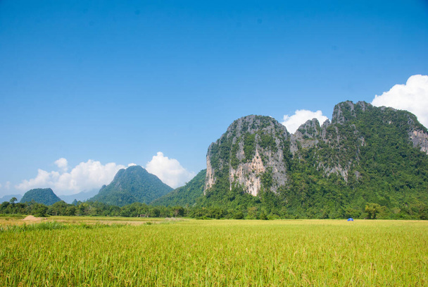 Reisfeld mit Bergkulisse, Vang Vieng, Laos - Foto, Bild