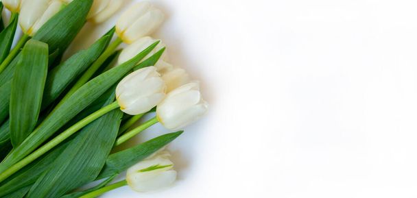 Spring flowers banner. Bunch of white tulip flowers on white background. Happy Easter card. Flat lay, top view. - Photo, Image