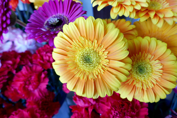 Fondo de flores festivas de primavera para celebrar una ocasión especial o festivo
  - Foto, imagen