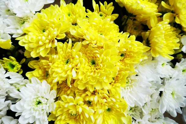 Świąteczne wiosenne kwiaty tło do świętowania specjalnej okazji lub święta  - Zdjęcie, obraz
