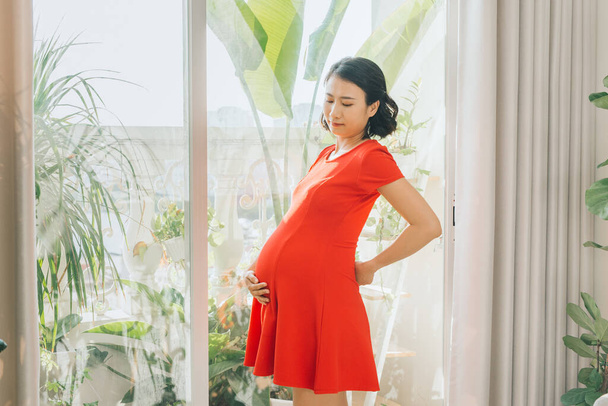 Young Asian beautiful pregnant woman standing near window at home - Foto, afbeelding