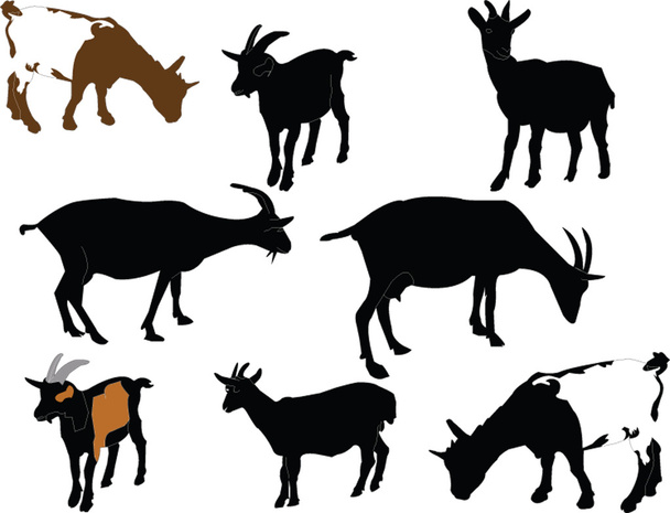 Коллекция коз - вектор
 - Вектор,изображение