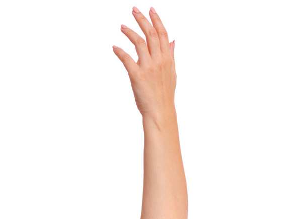 Ženská ruka s manikúrou, izolovaná na bílém pozadí. Krásná ruka ženy s kopírovacím prostorem. - Fotografie, Obrázek