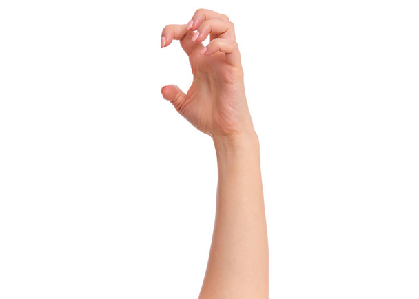 Mano femenina con manicura, aislada sobre fondo blanco. Hermosa mano de mujer con espacio de copia. - Foto, Imagen