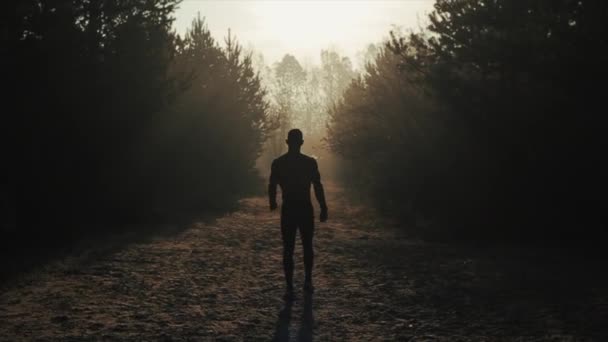 Вид сзади на силуэт Мускулистый красивый мужчина с обнаженным торсом гуляет по лесу. Рано утром. Восход солнца
 - Кадры, видео