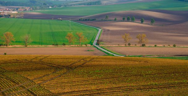 Krajobraz wiejski z kasztanowym zaułkiem na Morawach Południowych, Czechy - Zdjęcie, obraz