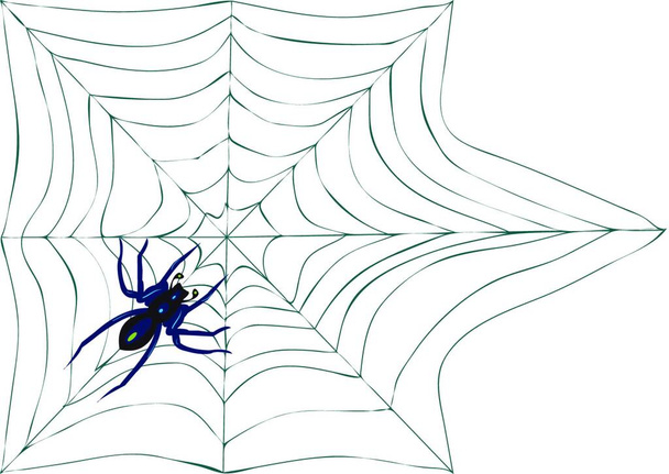 spiderweb with spider isolated on white background - Vetor, Imagem