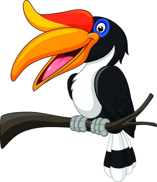 Cartoon toucan bird isolated on white background - Vektör, Görsel