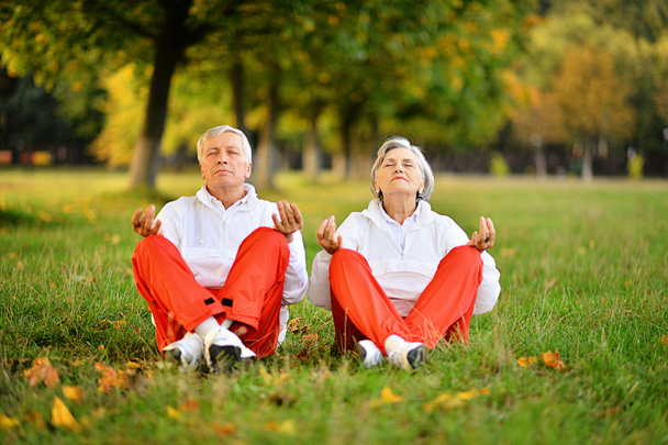 Aged couple doing yoga - Photo, Image