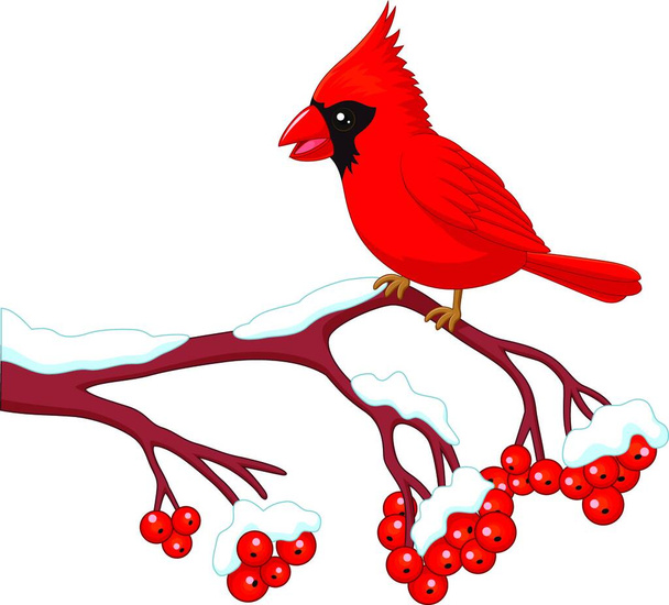 Cartoon beautiful cardinal bird posing on the berry tree - Διάνυσμα, εικόνα