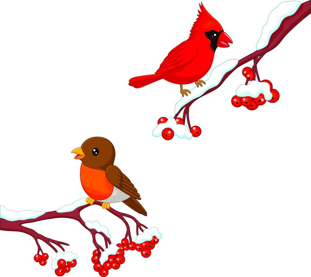 Cute bird robin and Cardinal on the cherry tree - Vektör, Görsel