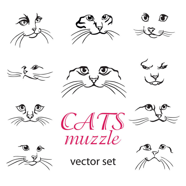 Vector thin line breed cats icons set. Cute outline animal illustrations  pet design. Collection different kitten layout flat cover