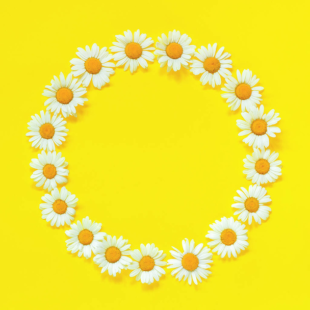 Flower composition. Frame floral round wreath of flowers chamomile on yellow background. Top-down composition. - Zdjęcie, obraz
