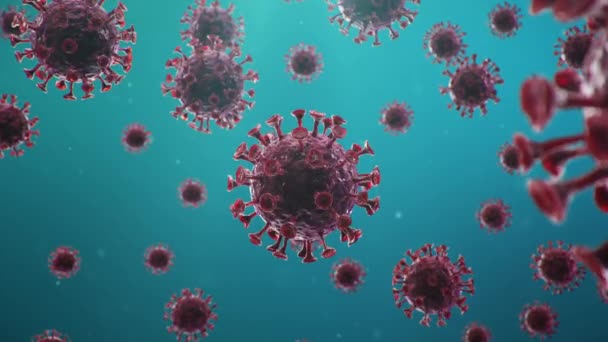 Outbreak of coronavirus, flu virus and 2019-nCov. Concept of a pandemic, epidemic for human cells. COVID-19 under the microscope, pathogen affecting the respiratory system. 3d illustration - Footage, Video
