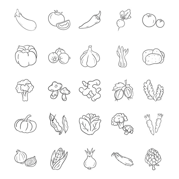 Wenn Sie ein Food-Blogger oder Stylist sind oder vielleicht eine Food-Website erstellen, können diese handgezeichneten Vektoren aus biologischem Gemüse besonders nützlich für Sie sein. Laden Sie daher diese gebrauchsfertigen, editierbaren Symbole entsprechend herunter! - Vektor, Bild