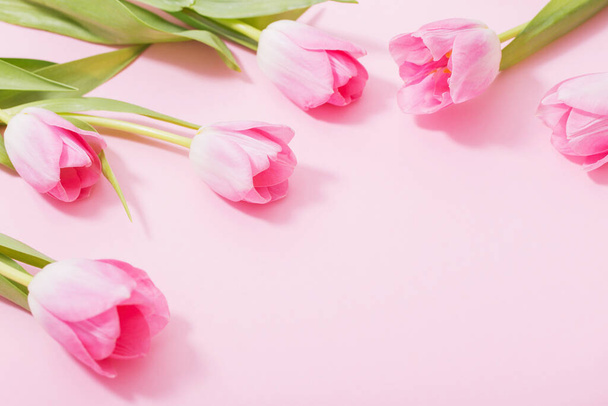 beautiful pink tulips on pink background - Foto, imagen