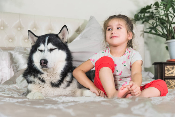 Beautiful girl sitting on the bed hugs and strokes a dog. The concept of human friendship with pets - 写真・画像