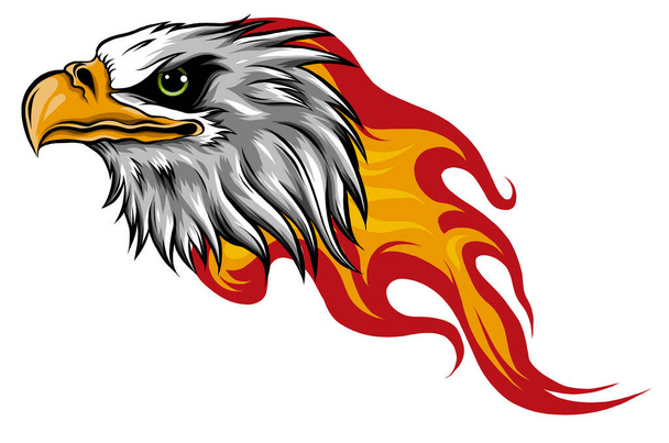 Eagle Head with Flames vector illustration design - Vektor, obrázek