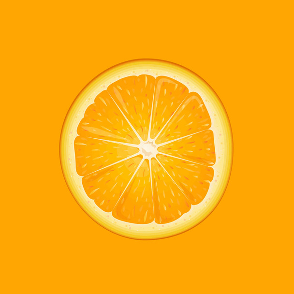 Εικονογράφηση διάνυσμα ενός πορτοκαλιού φέτες. Ζουμερή απεικόνιση. Φρούτα απομονωμένα από το φόντο. Κατάλληλο για χρήση σε συσκευασίες καλλυντικών και τροφίμων και χυμών. - Διάνυσμα, εικόνα