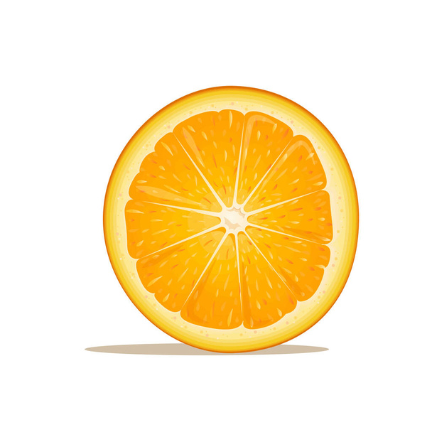 Vector illustration of a sliced orange. Juicy illustration. Fruit isolated from the background. Suitable for use in packaging cosmetics and food and juices. - Vektör, Görsel