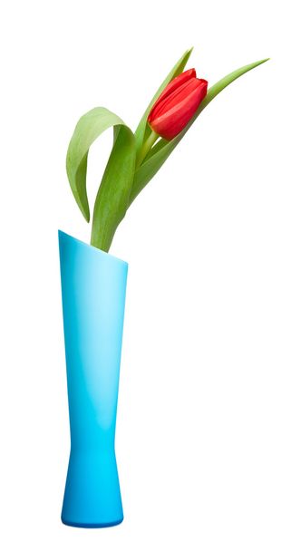 Vase - Photo, image