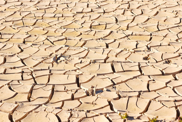 Nedostatek vody, slunce a málo deště, půda narušená malým zavlažováním a velmi horká. Rozčtvrcená země. Malá vegetace, vyprahlá a špatně obdělávaná oblast - Fotografie, Obrázek