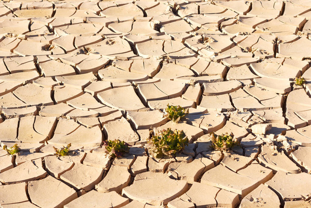 水、太陽と雨の不足、土地はほとんど灌漑によって壊れて、非常に暑い。地球の4分の1。小さな植生、乾燥したあまり栽培されていない地域 - 写真・画像