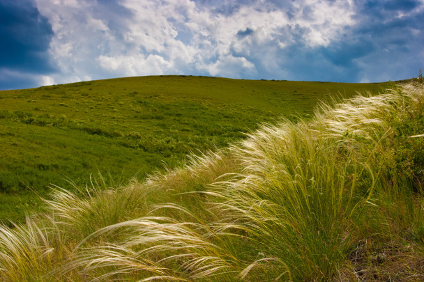 Трава на холме
 - Фото, изображение