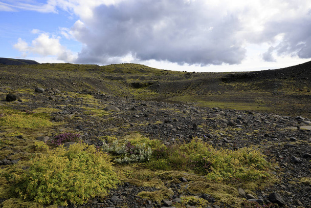 Skaftafell / Iceland - August 18, 2017: Landscape near Skaftafellsjokull glacier, Iceland, Europe - 写真・画像